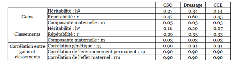 organiser rencontre sportive maternelle