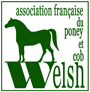 Logo WELSH PONY TYPE COB