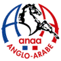 Logo ANGLO-ARABE DE CROISEMENT