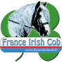 Logo IRISH COB