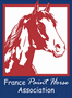 Logo PAINT HORSE